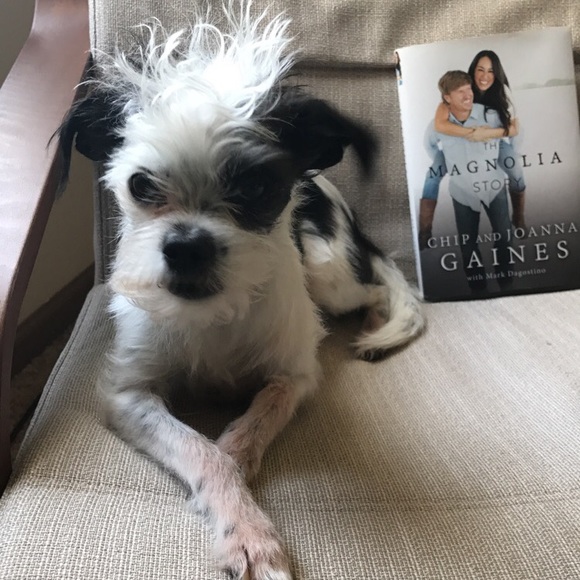 Meet your Posher, Melisa - Picture 6 of 6